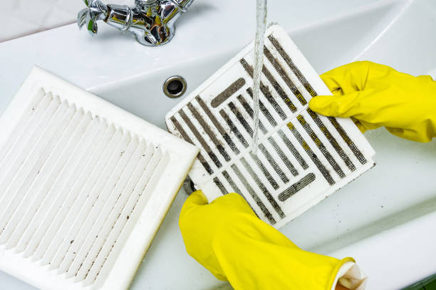 Best Best Air Duct Cleaning Company  in South Gull Lake, MI